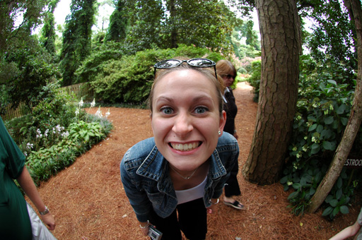elizabethan gardens.